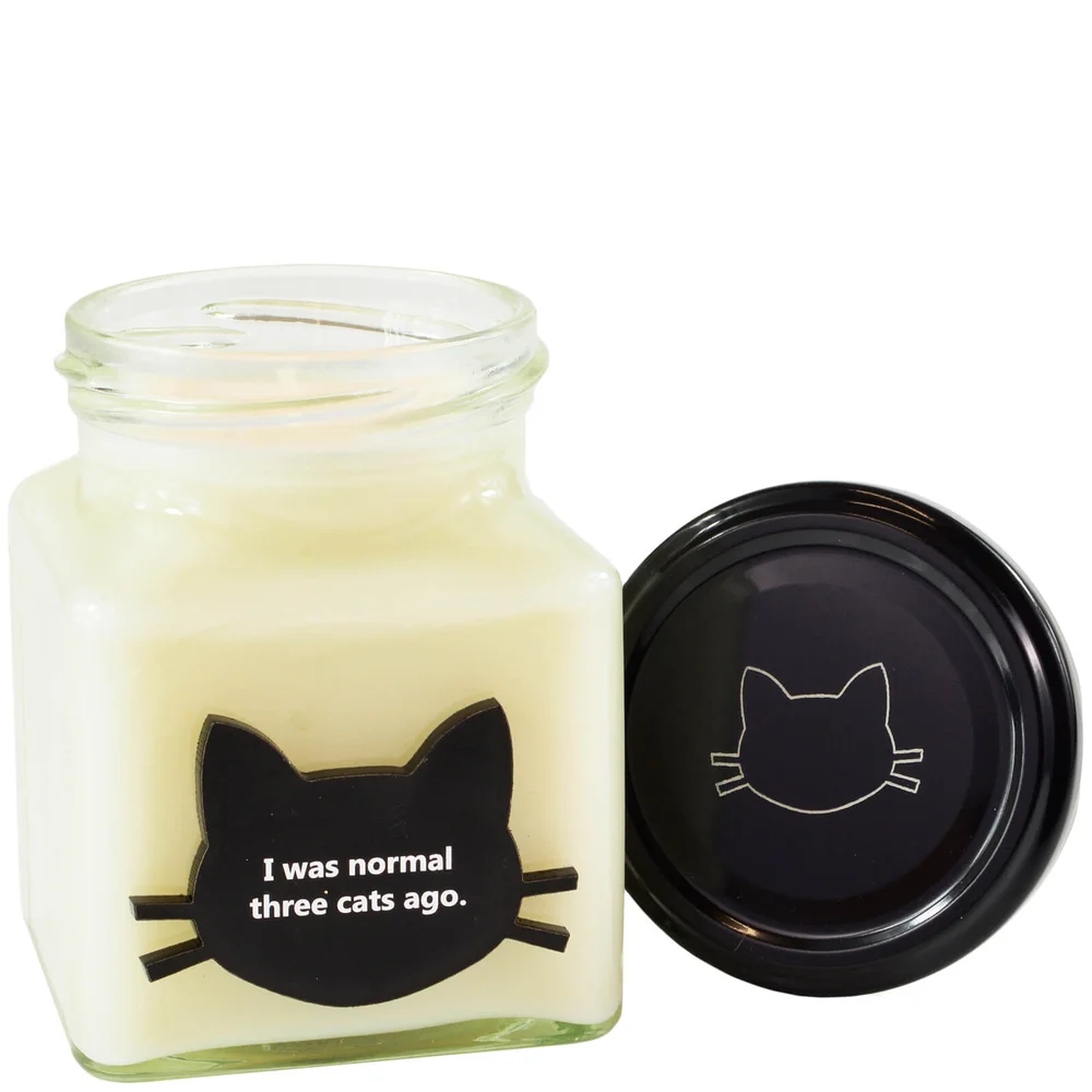 I Was Normal Three Cats Ago Crazy Cat Candle Afbeelding 1