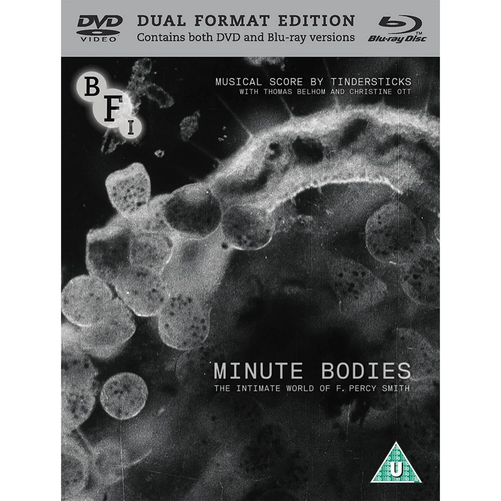 Minute Bodies Afbeelding 1