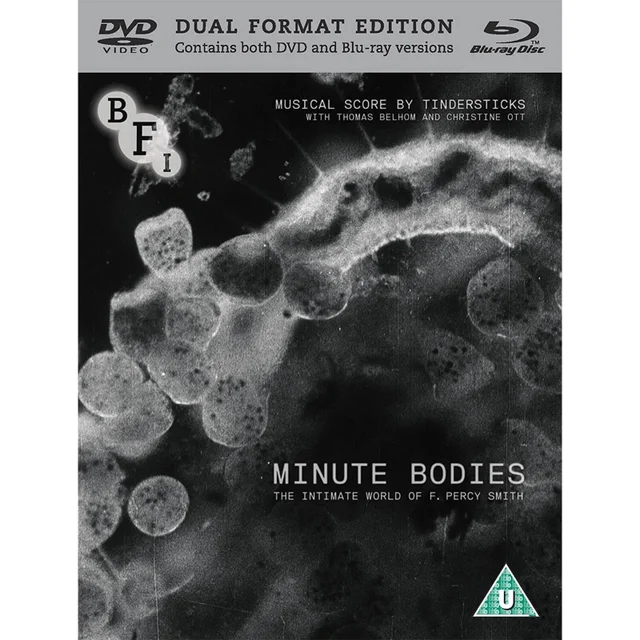 Minute Bodies