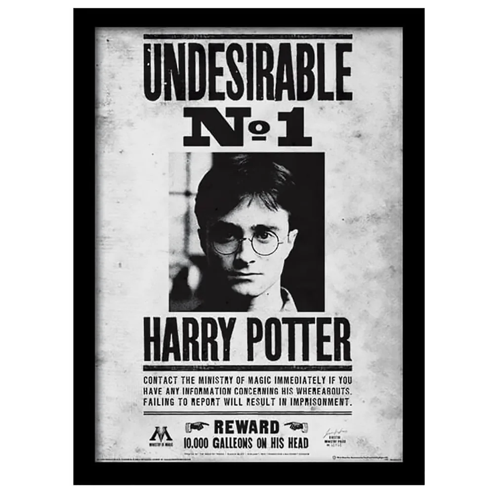 Harry Potter Undesirable No.1 Framed 30 x 40cm Print Afbeelding 1