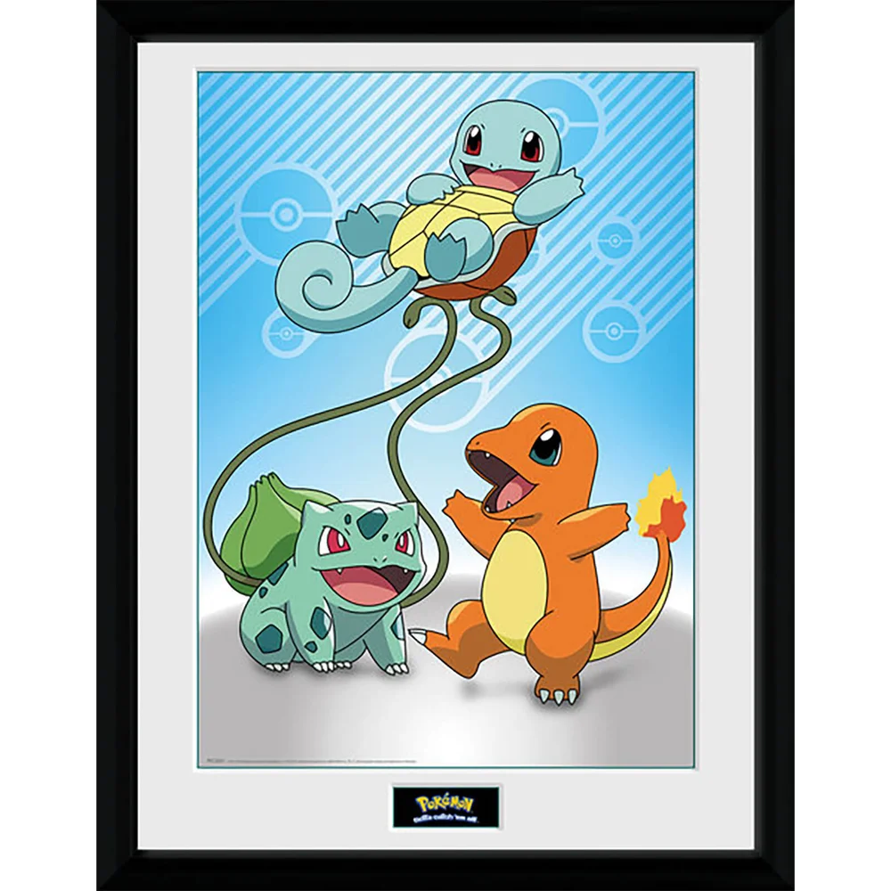 Pokémon Kanto Starters - 16 x 12 Inches Framed Photograph Afbeelding 1