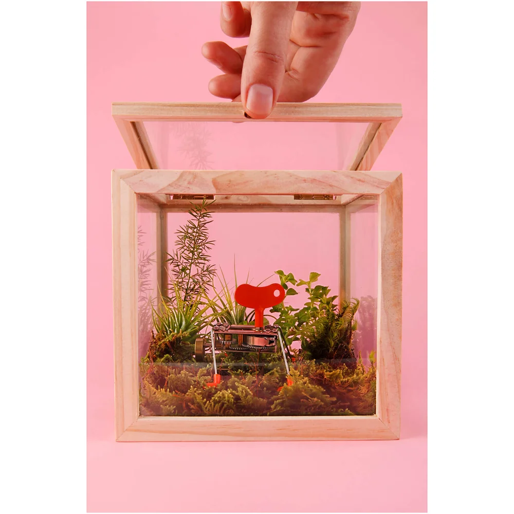 Square Storage Box - Glass Afbeelding 1