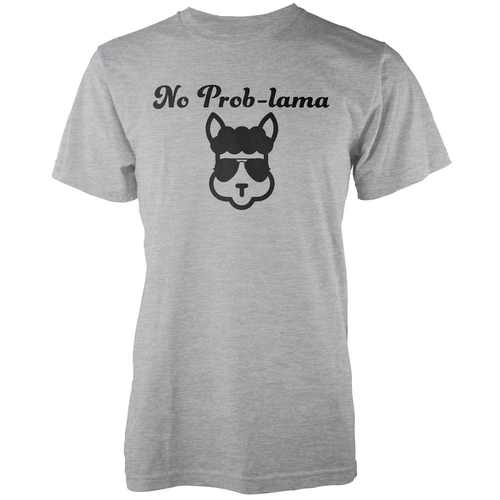 No Prob-Lama Grey T-Shirt - S Afbeelding 1