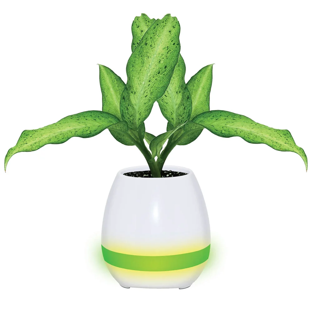 Mayhem Auora Piano Pot Bluetooth Speaker - Blue Afbeelding 1