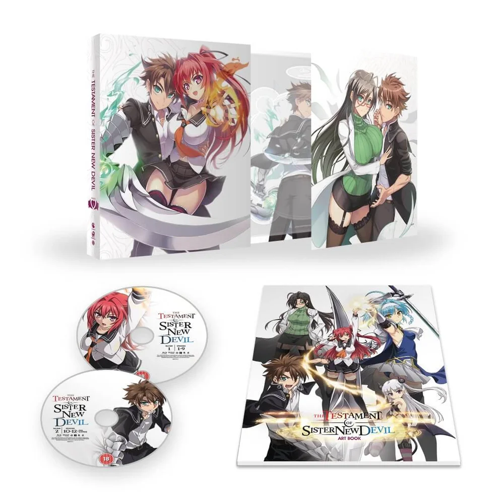 Testament of Sister New Devil - Part 1 Collectors Afbeelding 1