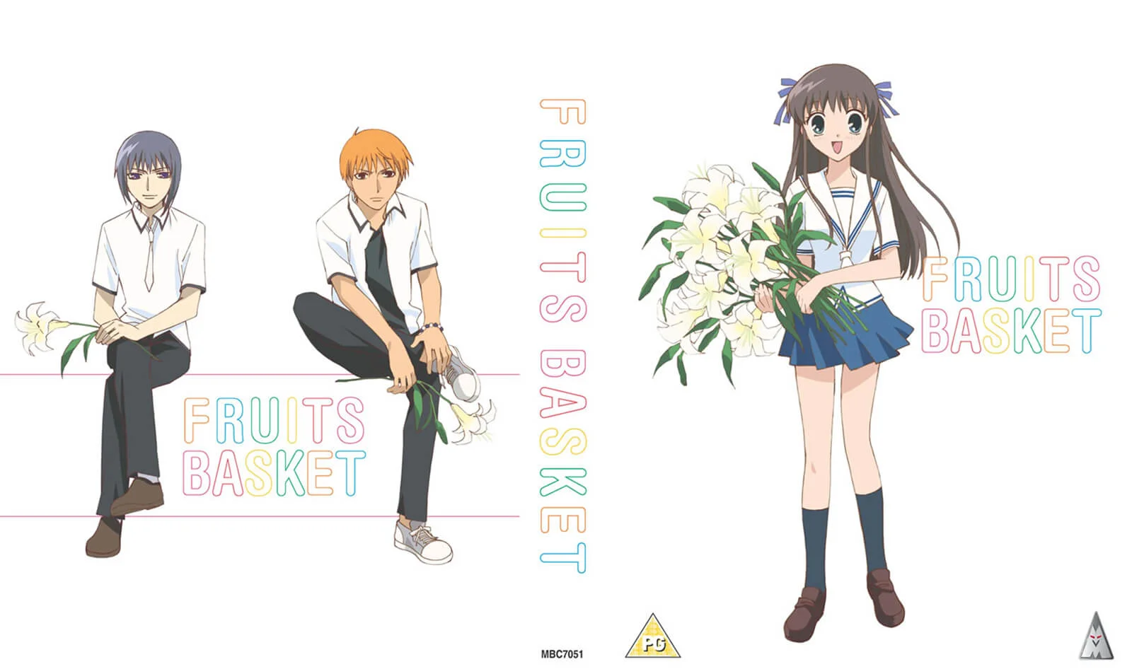 Fruits Basket Collector's Edition Afbeelding 1