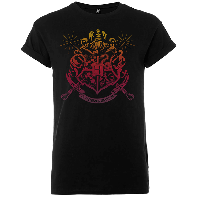 Harry Potter Hogwarts T-shirt - Zwart