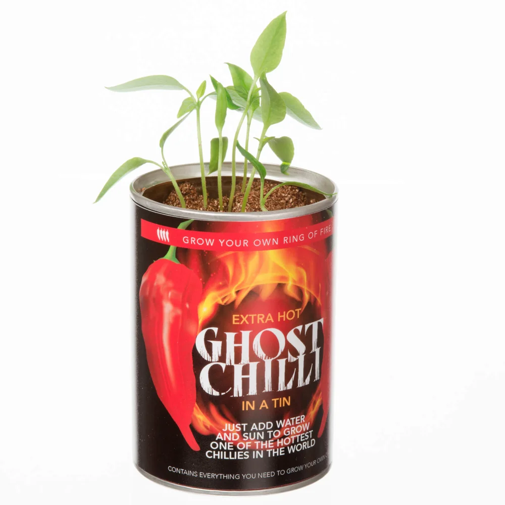 Grow Your Own Ghost Chilli Afbeelding 1