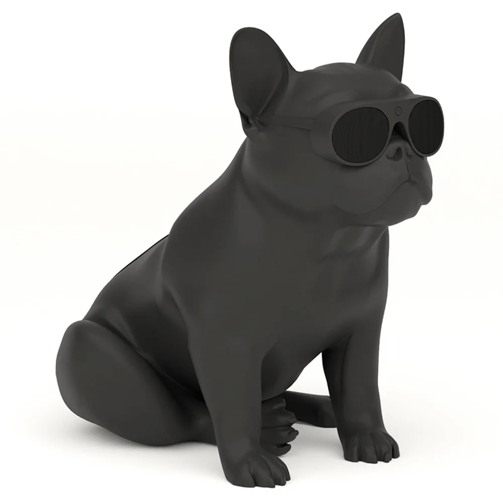 Jarre AeroBull XS1 Bluetooth Speakers - Matte Black Afbeelding 1