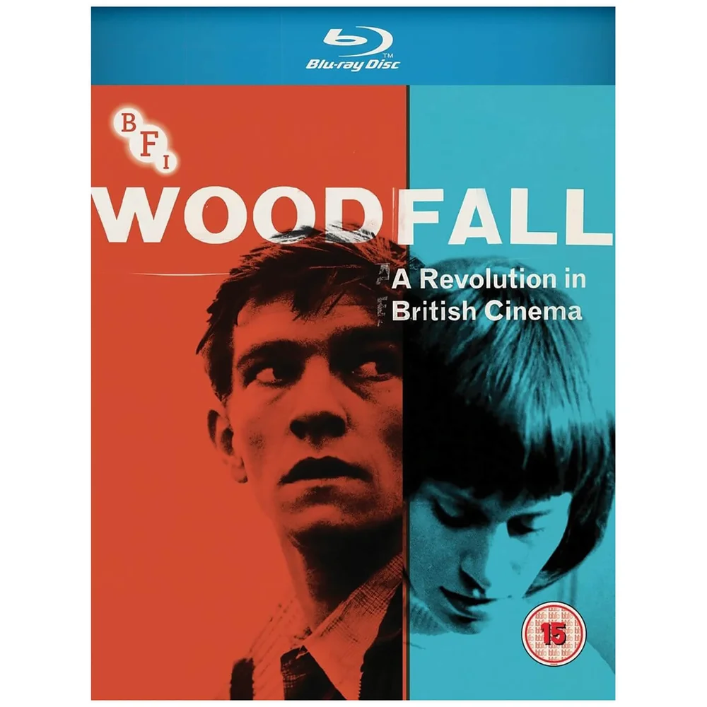 Woodfall: A Revolution in British Cinema Afbeelding 1