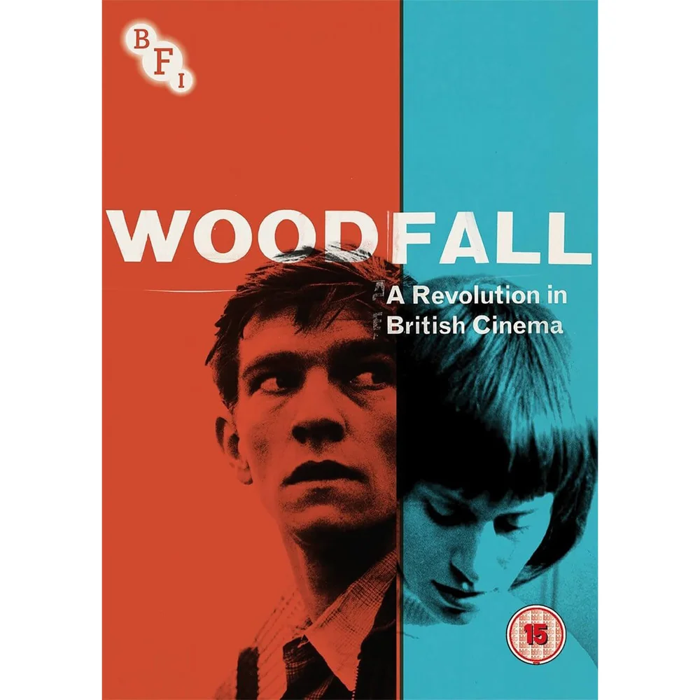 Woodfall: A Revolution in British Cinema Afbeelding 1