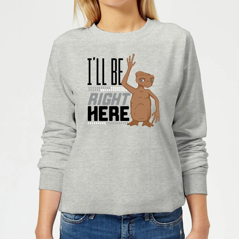 E.T. I'll Be Right Here Dames Trui - Grijs - 3XL - Grijs Afbeelding 1