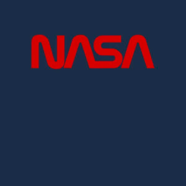 NASA Worm Logotype Dames T-shirt - Navy