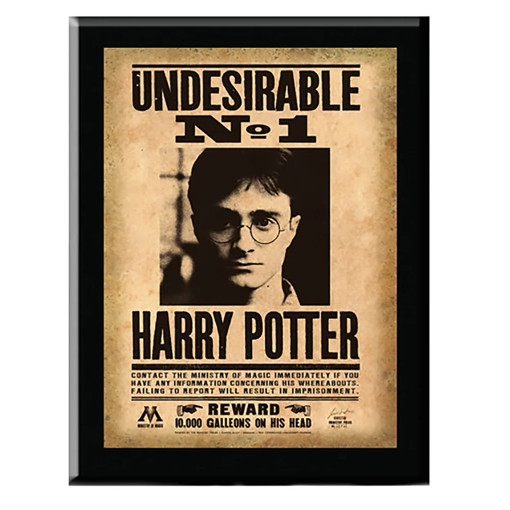 Harry Potter Harry Potter Undesirable No. 1 Plaat Afbeelding 1