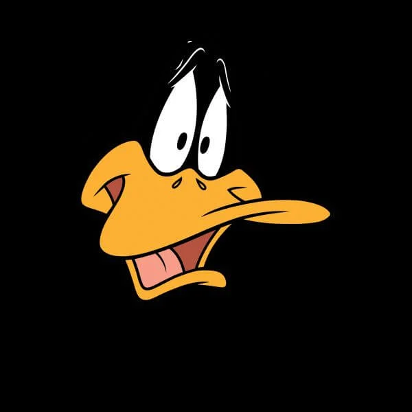 Looney Tunes Daffy Duck Face Dames T-shirt - Zwart