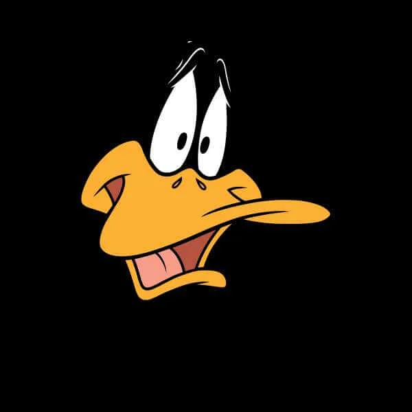 Looney Tunes Daffy Duck Face Trui - Zwart