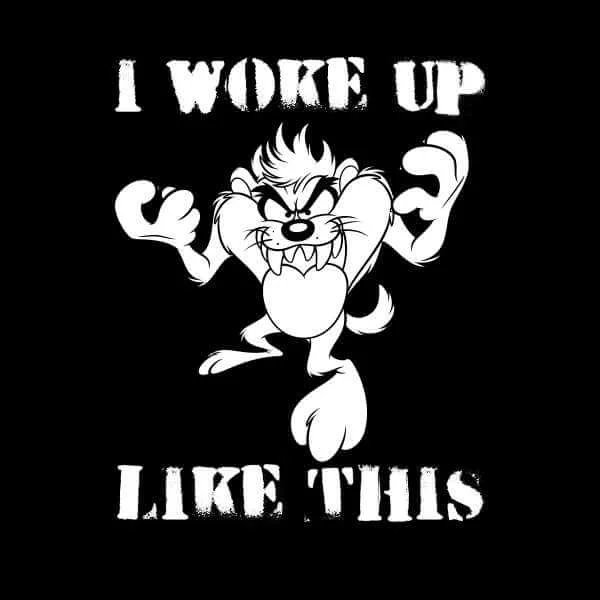 Looney Tunes Taz I Woke Up Like This Trui - Zwart