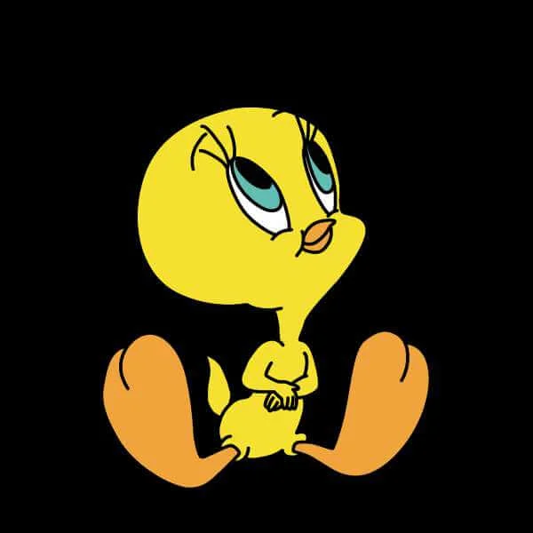 Looney Tunes Tweety Sitting Trui - Zwart