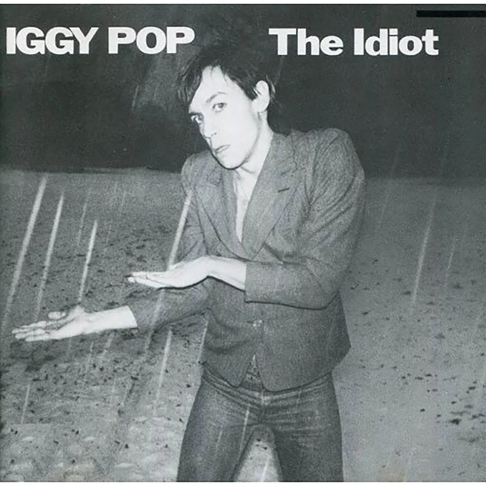 Iggy Pop - The Idiot 30 cm LP Afbeelding 1