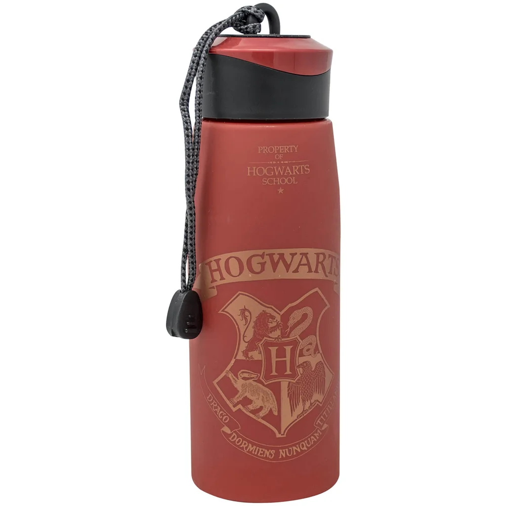 Harry Potter waterfles (550 ml) Afbeelding 1