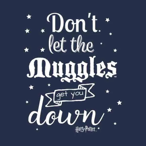 Harry Potter Don't Let The Muggles Get You Down T-shirt - Navy