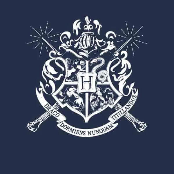 Harry Potter Hogwarts T-shirt - Navy