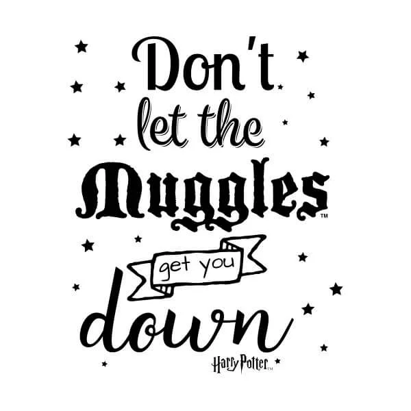 Harry Potter Don't Let The Muggles Get You Down Dames T-shirt - Wit