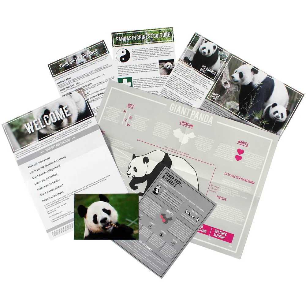 Adopt A Panda Afbeelding 1