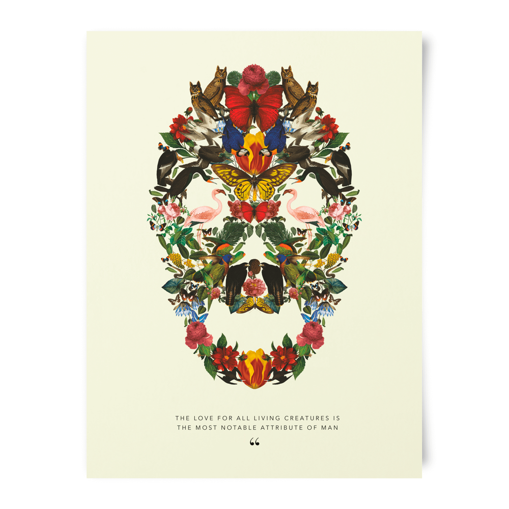 Natural History Museum Skull Of Wildlife Art Print Afbeelding 1