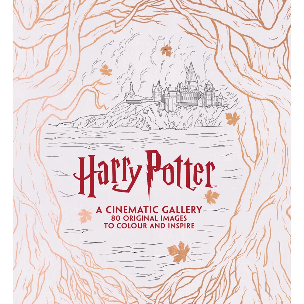 Harry Potter - A Cinematic Gallery (Hardback) Afbeelding 1