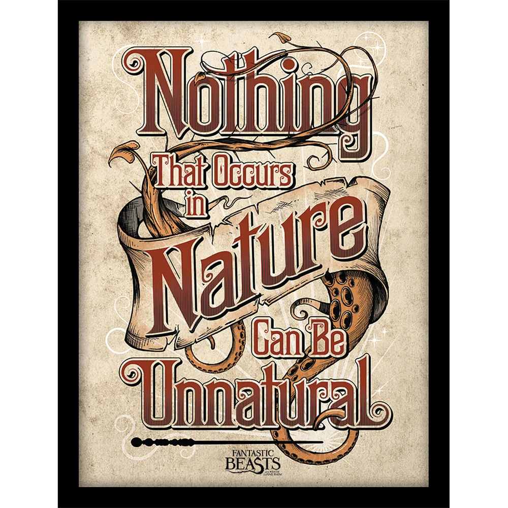 Fantastic Beasts (Nature) Framed 30 x 40cm Print Afbeelding 1