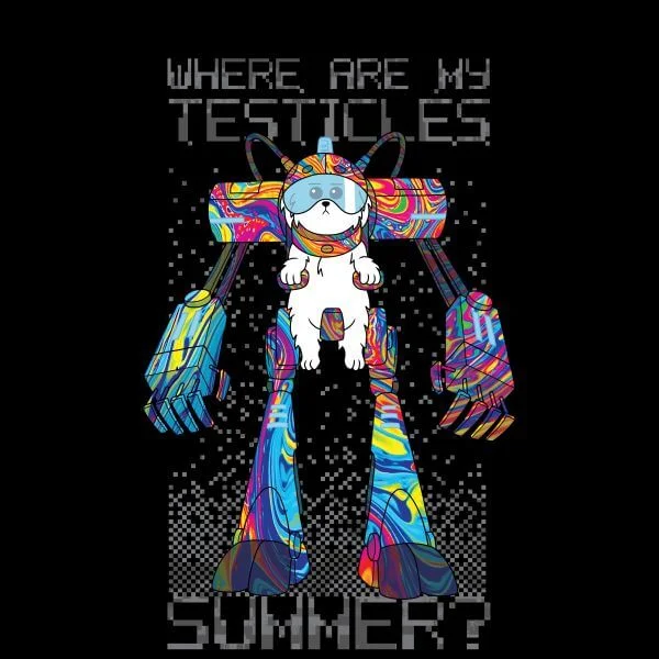 Rick and Morty Where Are My Testicles Summer Dames T-shirt - Zwart