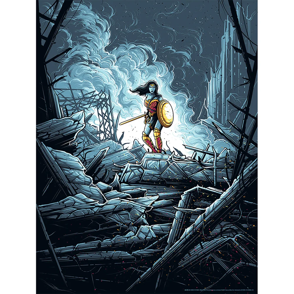 DC Comics Wonder Woman "Warrior" 18" x 24" Silkscreen Print (Colour Variant) by Dan Mumford Afbeelding 1