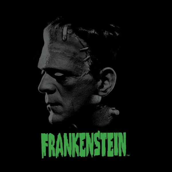 Universal Monsters Frankenstein Greyscale Trui - Zwart