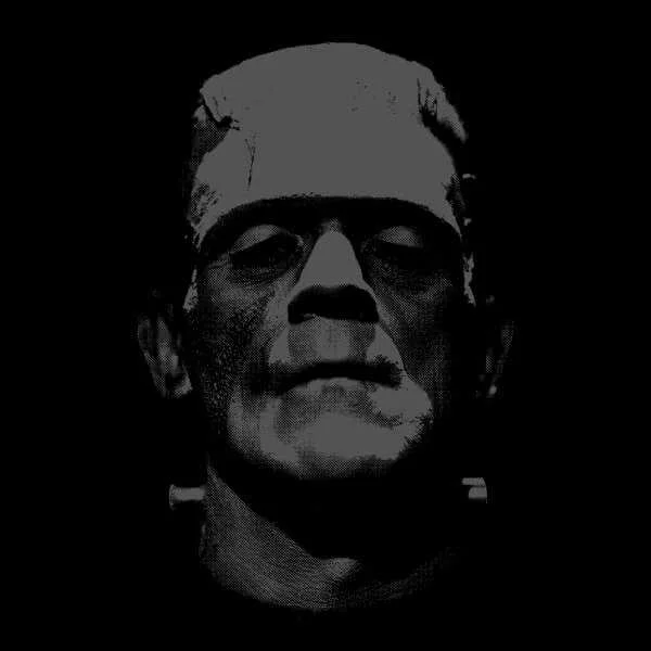 Universal Monsters Frankenstein Black And White Trui - Zwart