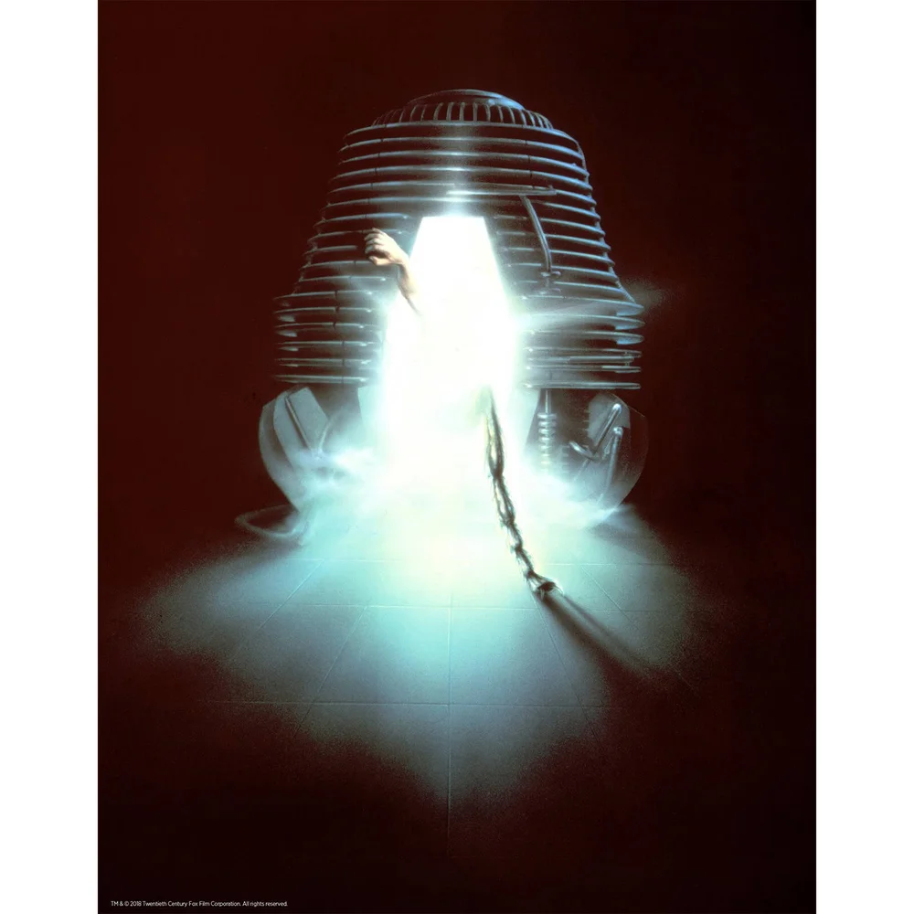 The Fly Limited Edition Art Print Afbeelding 1