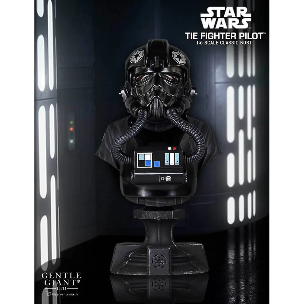 Gentle Giant Star Wars Bust TIE Fighter PGM Exclusive (13 cm) Afbeelding 1