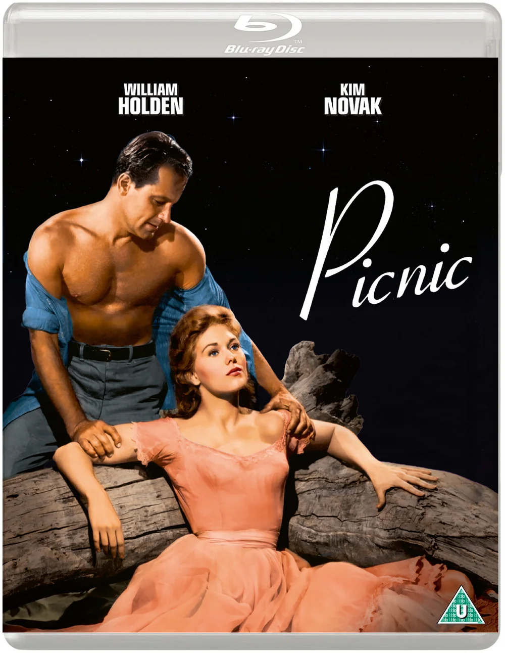 Picknick ( Eureka Classics) Afbeelding 1