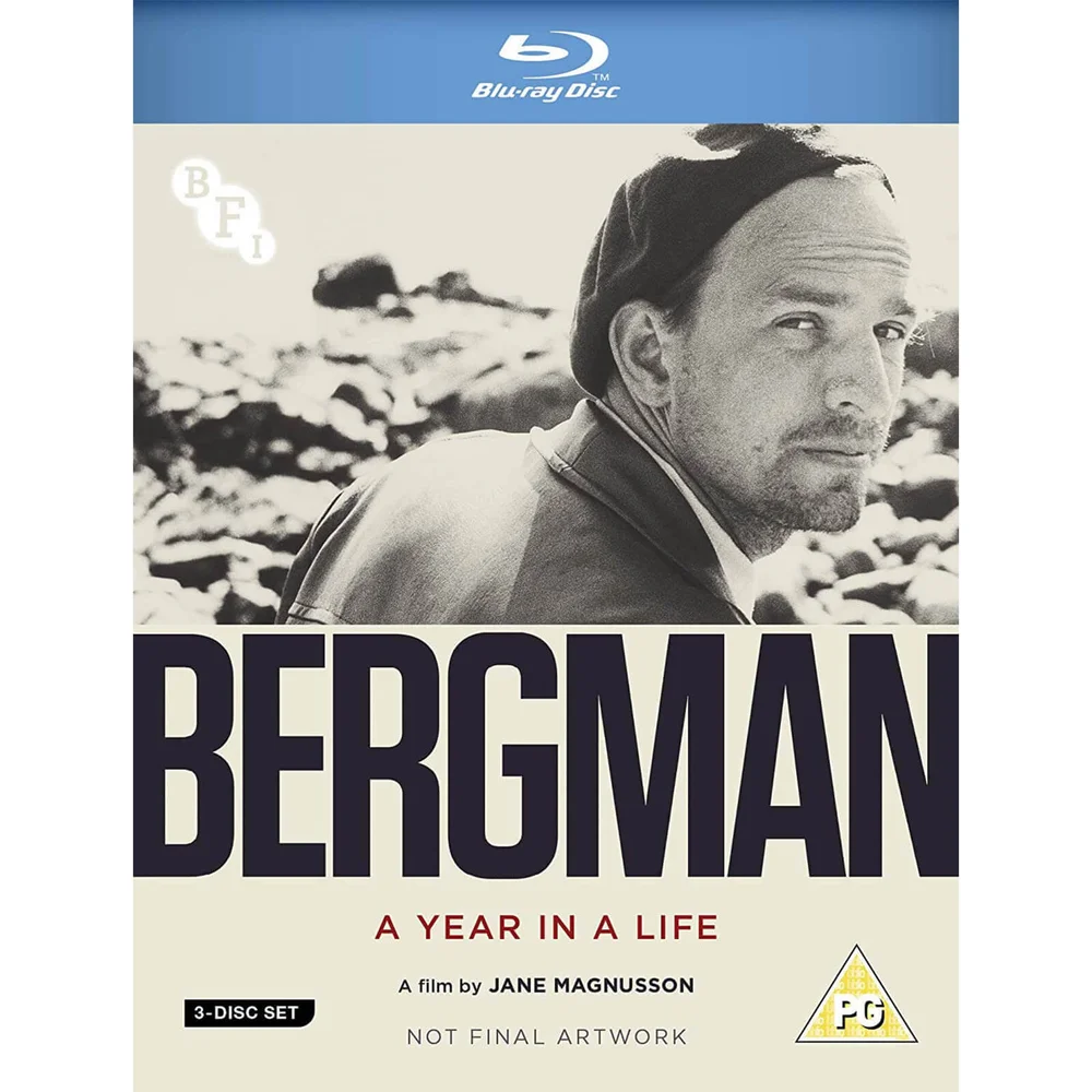 Ingmar Bergman: A Year in A Life Afbeelding 1