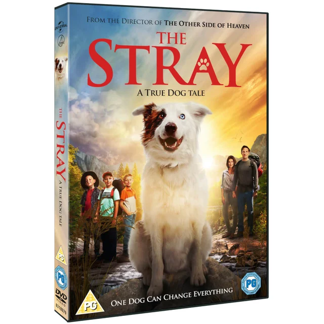 The Stray