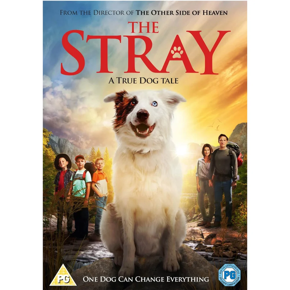 The Stray Afbeelding 1