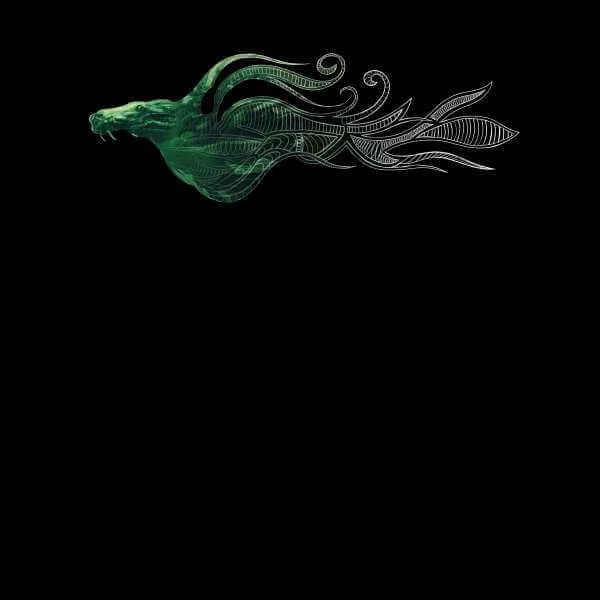 Fantastic Beasts Tribal Kelpie hoodie - Zwart