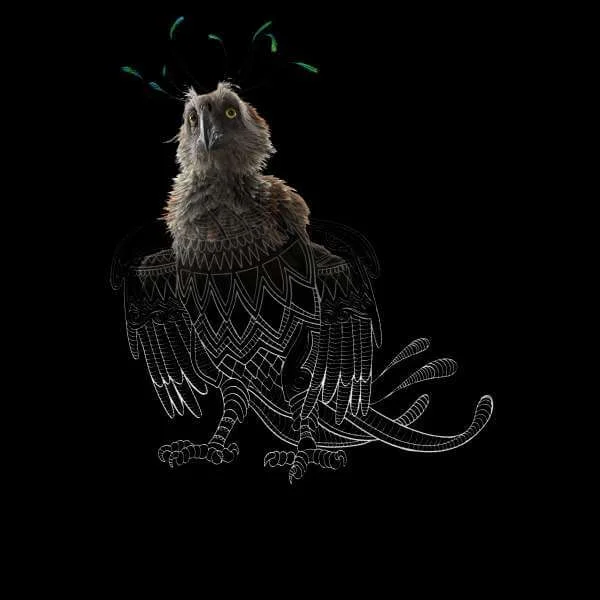 Fantastic Beasts Tribal Augurey hoodie - Zwart