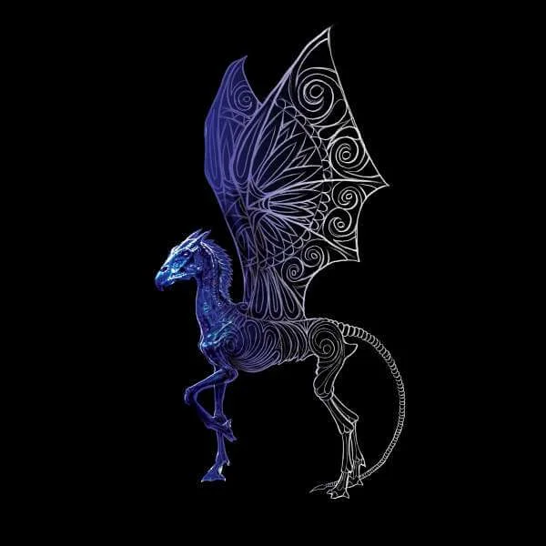 Fantastic Beasts Tribal Thestral trui - Zwart