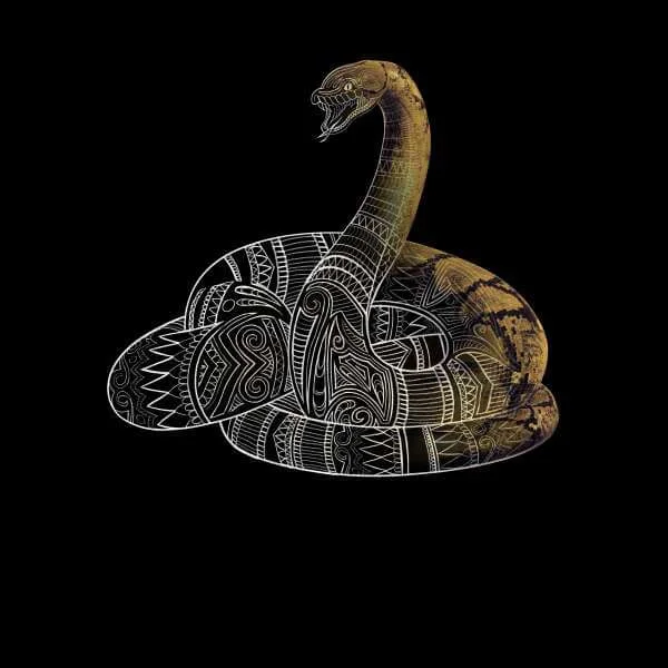 Fantastic Beasts Tribal Nagini trui - Zwart