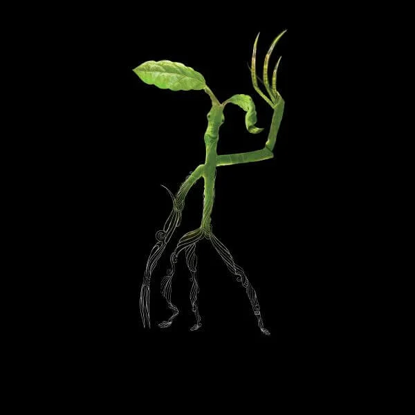 Fantastic Beasts Tribal Bowtruckle dames t-shirt - Zwart