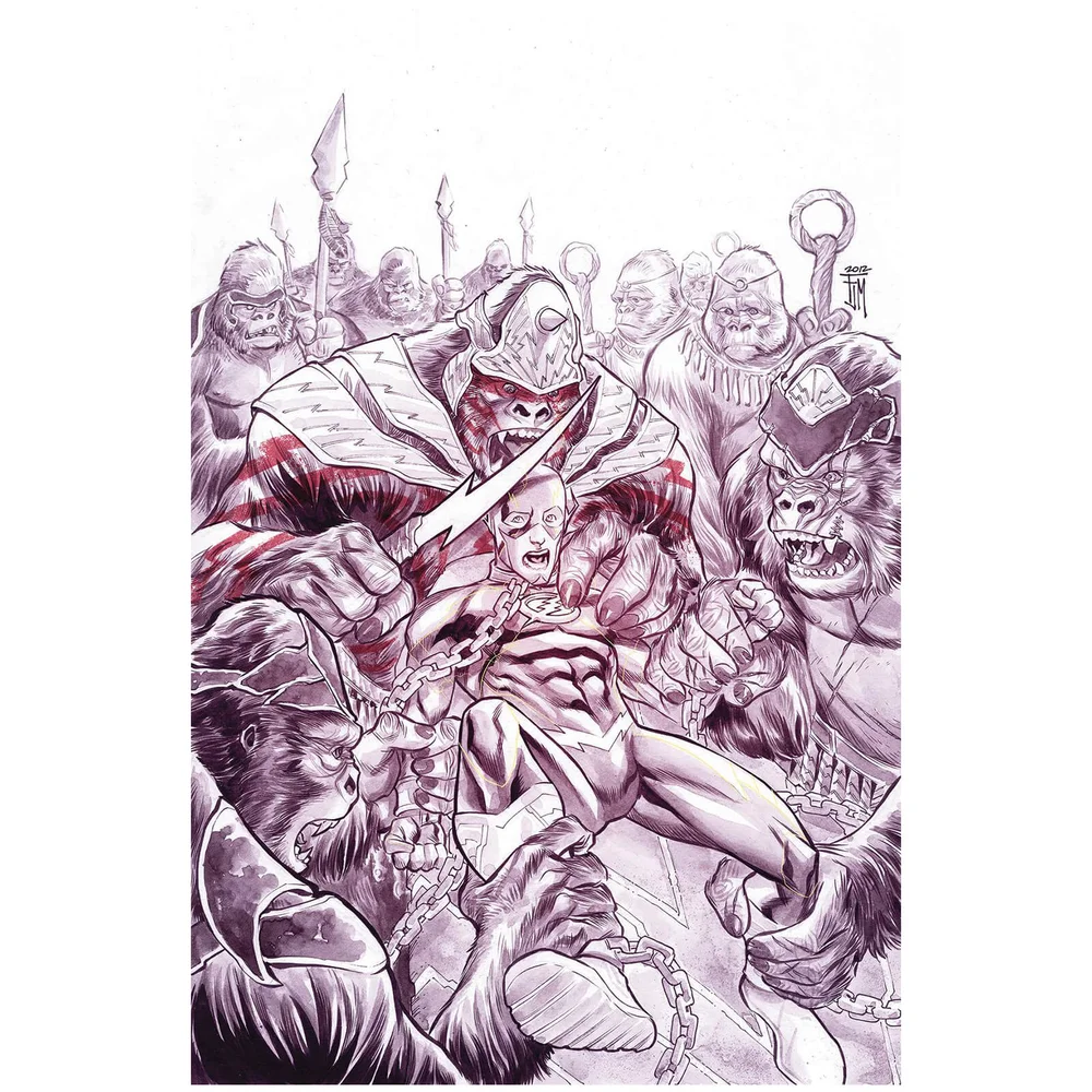 DC Comics - Flash Unwrapped By Francis Manapul hard cover Afbeelding 1