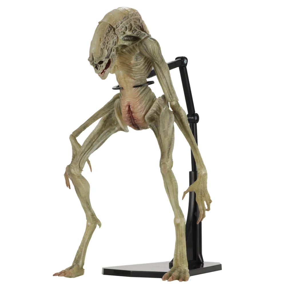 NECA Aliens - 7" Scale Action Figure - Deluxe Alien Resurrection Newborn Afbeelding 1