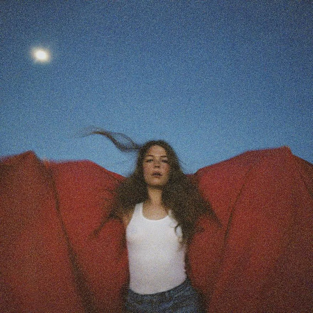 Maggie Rogers - Heard It In A Past Life Vinyl Afbeelding 1
