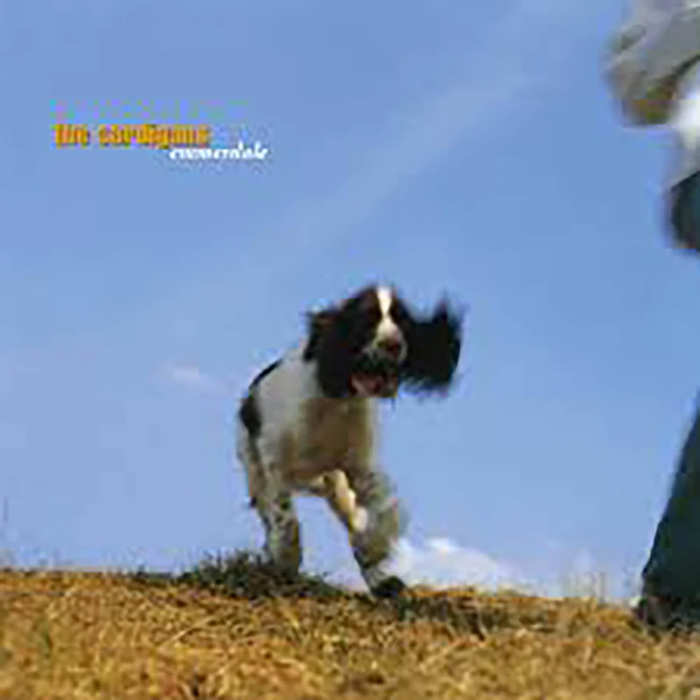The Cardigans - Emmerdale Vinyl Afbeelding 1